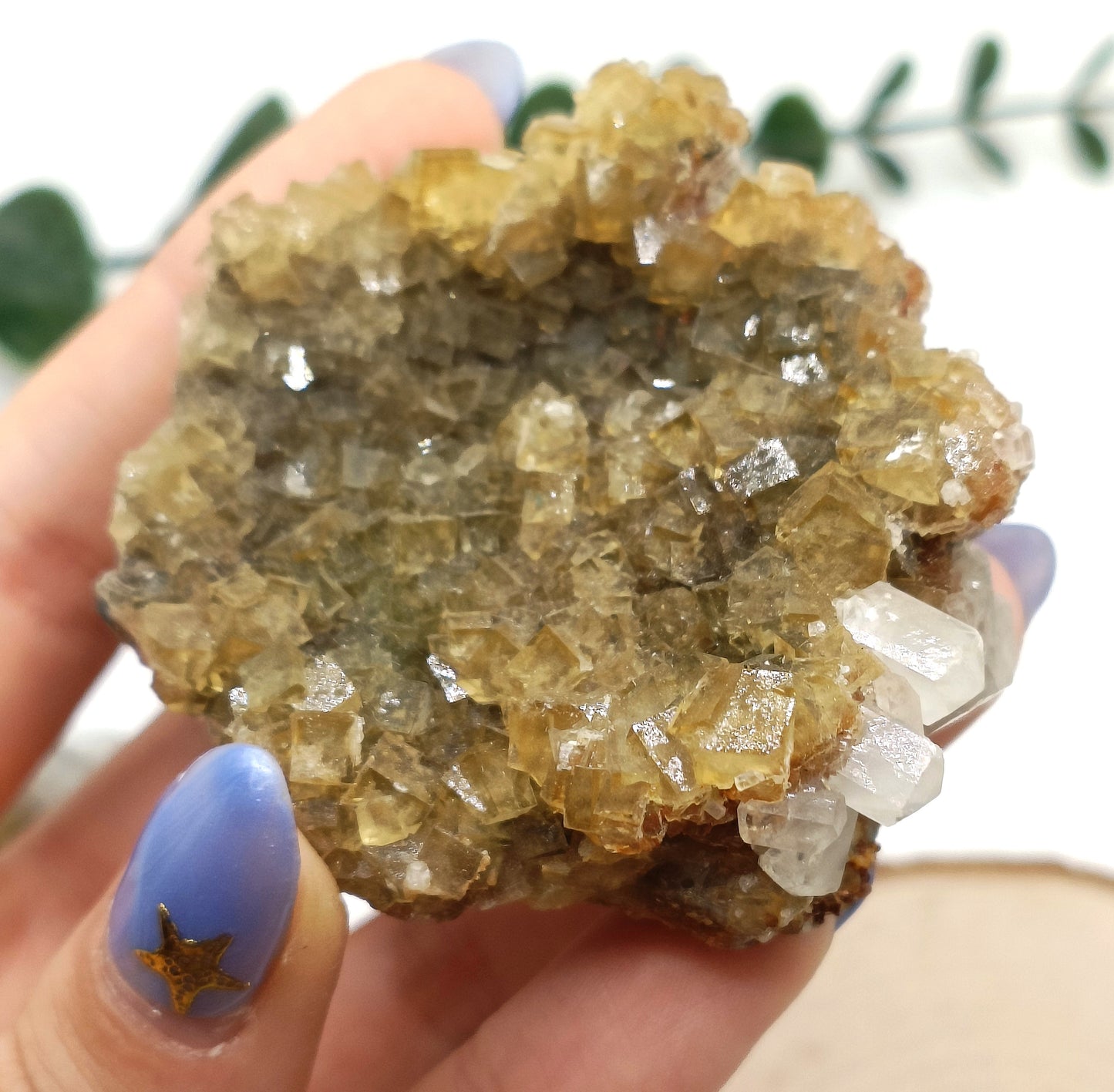 Fluorite gialla grezza