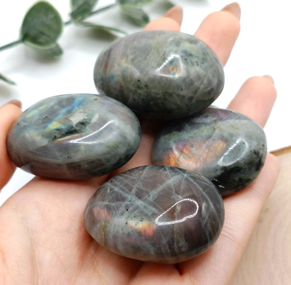 Palmstone in Labradorite