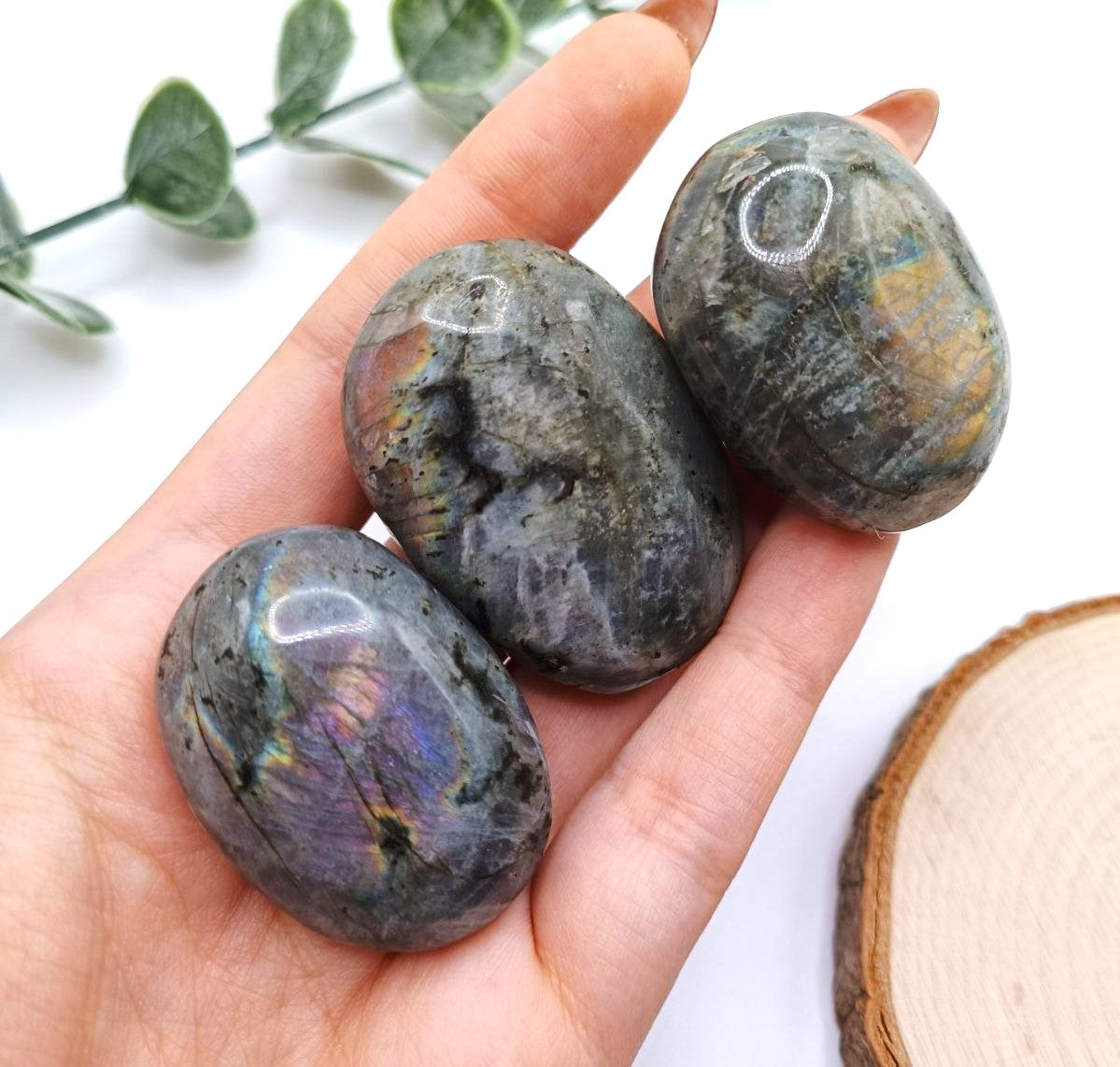 Palmstone in Labradorite